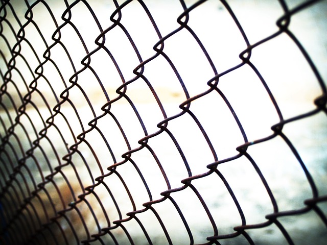 Alt om TV-serien Prison Break – fakta, trivia og meget mere